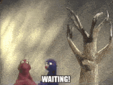 Waiting For Elmo Monsterpiece Theatre GIF - Waiting For Elmo Waiting Elmo GIFs