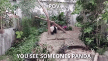 Someones Panda Panda GIF - Someones Panda Panda Bear GIFs