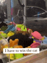 a bunch of stuffed animals in a claw machine with the words " i have to win the cat "