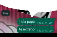 a screenshot of a text message that says hola papa