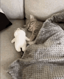 a kitten is sleeping on a couch next to a stuffed animal