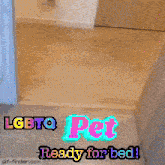 a picture of a cat with the words lgbtq pet ready for bed below it