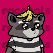 Racoons Raccoon GIF - Racoons Raccoon Raccool GIFs
