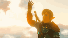 Link Tears Of The Kingdom GIF - Link Tears Of The Kingdom Zelda GIFs