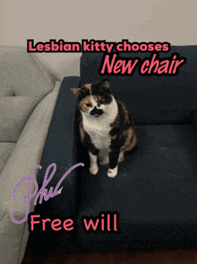 a cat is sitting on a couch with the words lesbian kitty chooses new chair free will