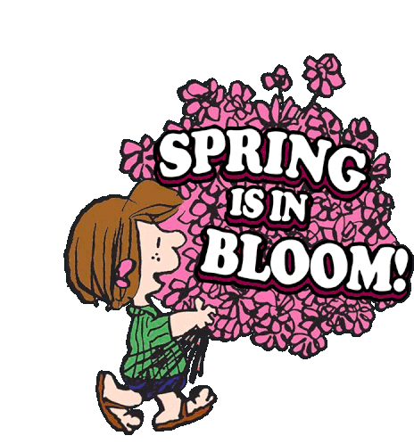 Spring Is In Bloom Peppermint Patty Sticker - Spring Is In Bloom Peppermint Patty Snoopy Stickers