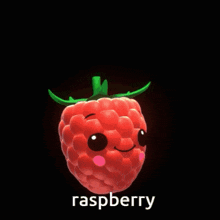 a raspberry with a face and the word raspberry underneath it