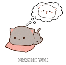 a cartoon cat is laying on a pink pillow and thinking about a white cat in a thought bubble .