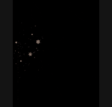 a black background with the letters j and z