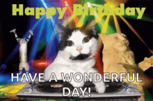 Have A Wonderful Day Party GIF - Have A Wonderful Day Party Cat GIFs