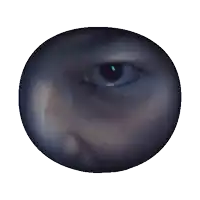 a close up of a person 's eye in a dark circle on a white background