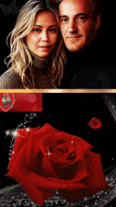 a picture of a man and a woman with a red rose