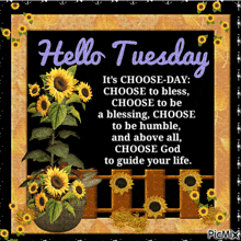 Tuesday Choose Day GIF - Tuesday Choose Day GIFs