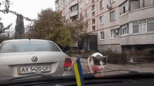 Woah There! GIF - Cats Surprised Shocked GIFs
