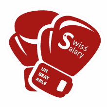 Swiss Salary Swiss Salary Ltd GIF - Swiss Salary Swiss Salary Ltd Sws GIFs