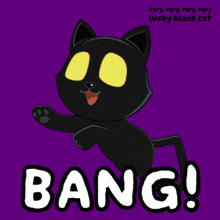 a very very very very lucky black cat bangs