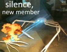 Silence New Member GIF