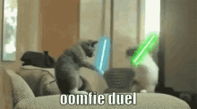 oomfie duel cat fight
