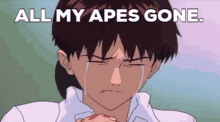 Shinji Apes GIF