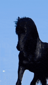 a black horse is running on a rocky hillside and the letter m is on the bottom right