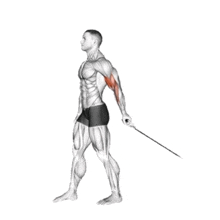 a drawing of a man holding a rope with muscles highlighted
