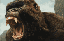Supreme Kong Kong GIF - Supreme Kong Kong Supreme GIFs