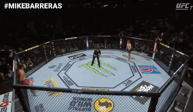 Flying Knee Knock Out GIF - Flying Knee Knock Out Ufc GIFs