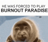 He Was Forced To Play Burnout Paradise GIF