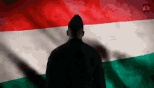 Hungary Hungarian GIF - Hungary Hungarian Hungarian Flag GIFs