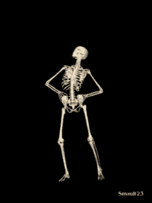 a skeleton is standing with his hands on his hips and a black background with smault 2.3 written on it