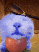 Cat Blue GIF - Cat Blue Spoon GIFs