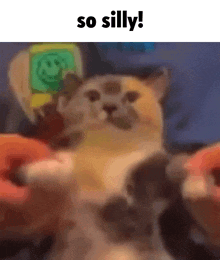 Cat Silly GIF - Cat Silly So Silly GIFs