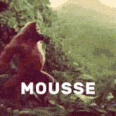 a picture of a fox with the word mousse on the bottom
