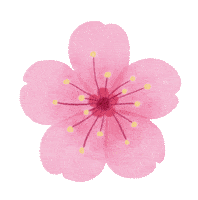 Cherry Blossom Sticker - Cherry Blossom Stickers