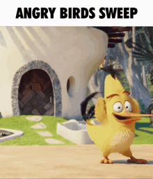 Angrybirdssweep Swwep GIF - Angrybirdssweep Swwep Angry Birds GIFs