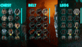 a screenshot of a chest belt and legs display