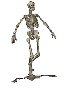 running skeleton