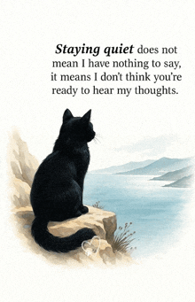 a black cat sits on a rock near a body of water with a quote about staying quiet