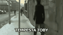 Tempesta Toby Neve Innevata Scivolare GIF - Toby Storm Snow Snowy GIFs
