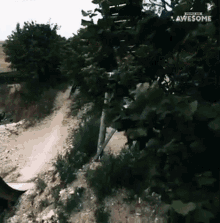 Riding Bike People Are Awesome GIF - Riding Bike People Are Awesome Bike Stunt GIFs