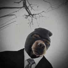 a black and white photo of a dog wearing a ski mask and a suit