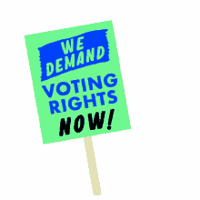 lcv protest march protest sign voting rights