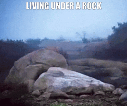 living-under-a-rock-out-of-the-loop.gif
