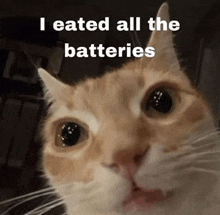 a close up of a cat with the words " i eated all the batteries " on the bottom