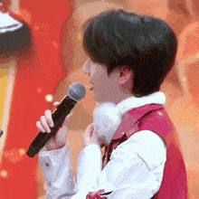 a person holding a microphone in their hand