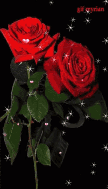 For You Flowers GIF - For You Flowers Red Roses GIFs