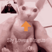 Bingus Sly GIF - Bingus Sly Reddit GIFs