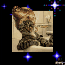 Pişik Cat GIF - Pişik Cat кот GIFs