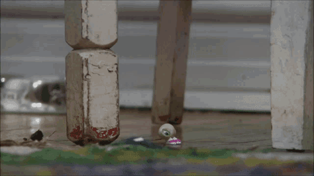 marcel-the-shell-running.gif
