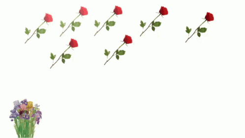 Png Flowers GIF - Png Flowers Animated - Discover & Share GIFs Png Flowers GIF - Png Flowers Animated - Discover & Share GIFs